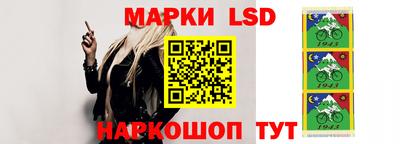 дмт Новодвинск