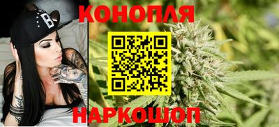 дмт Новодвинск