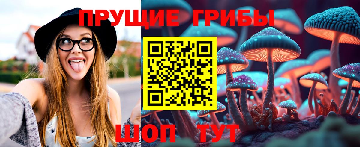 Галлюциногенные грибы Cubensis Татарск